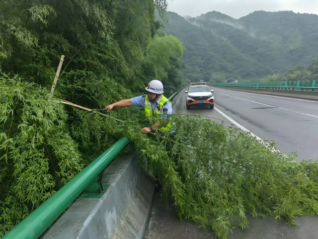 05 臺(tái)風(fēng)格美登陸在即，7月26日 六安西中心管控部巡路員柴夢(mèng)麒清理侵占路面的毛竹(1).png